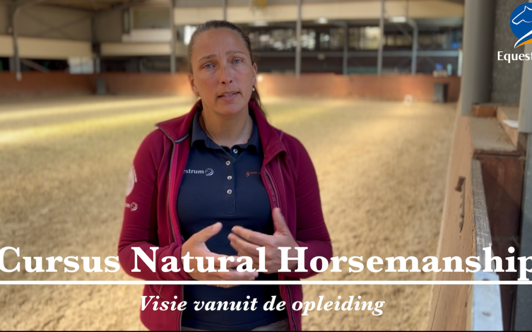 Horsemanship geeft basis voor omgang en training *video*