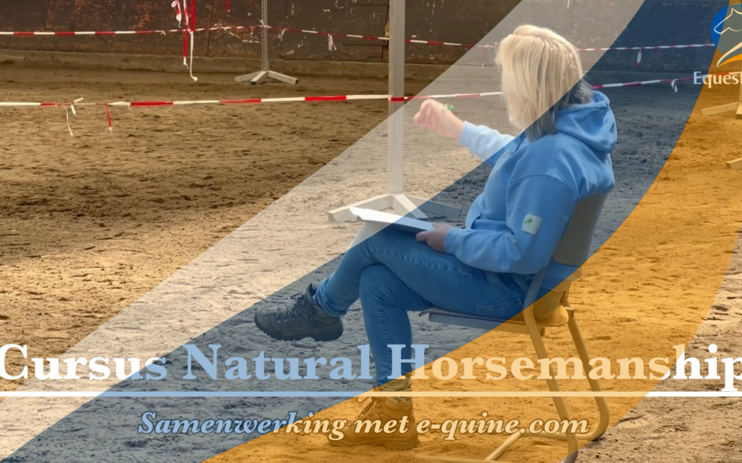 Horsemanship onderdeel MBO Paardenhouderij *video*